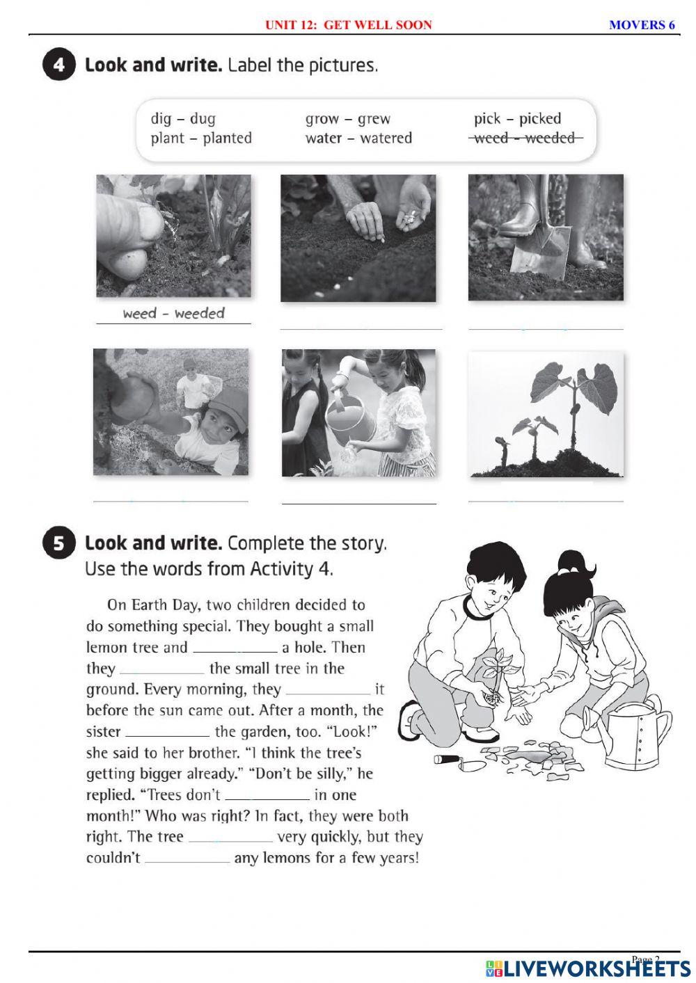 Movers 6 - U11 - Vocabulary