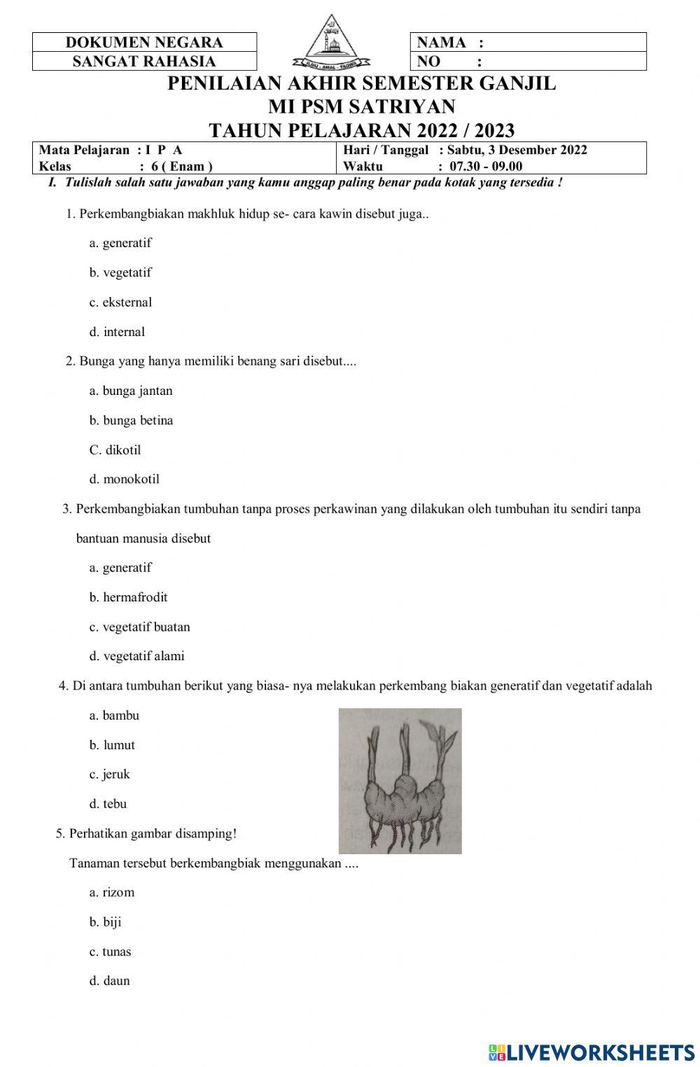 Pat 6    ipa    nopember 2022