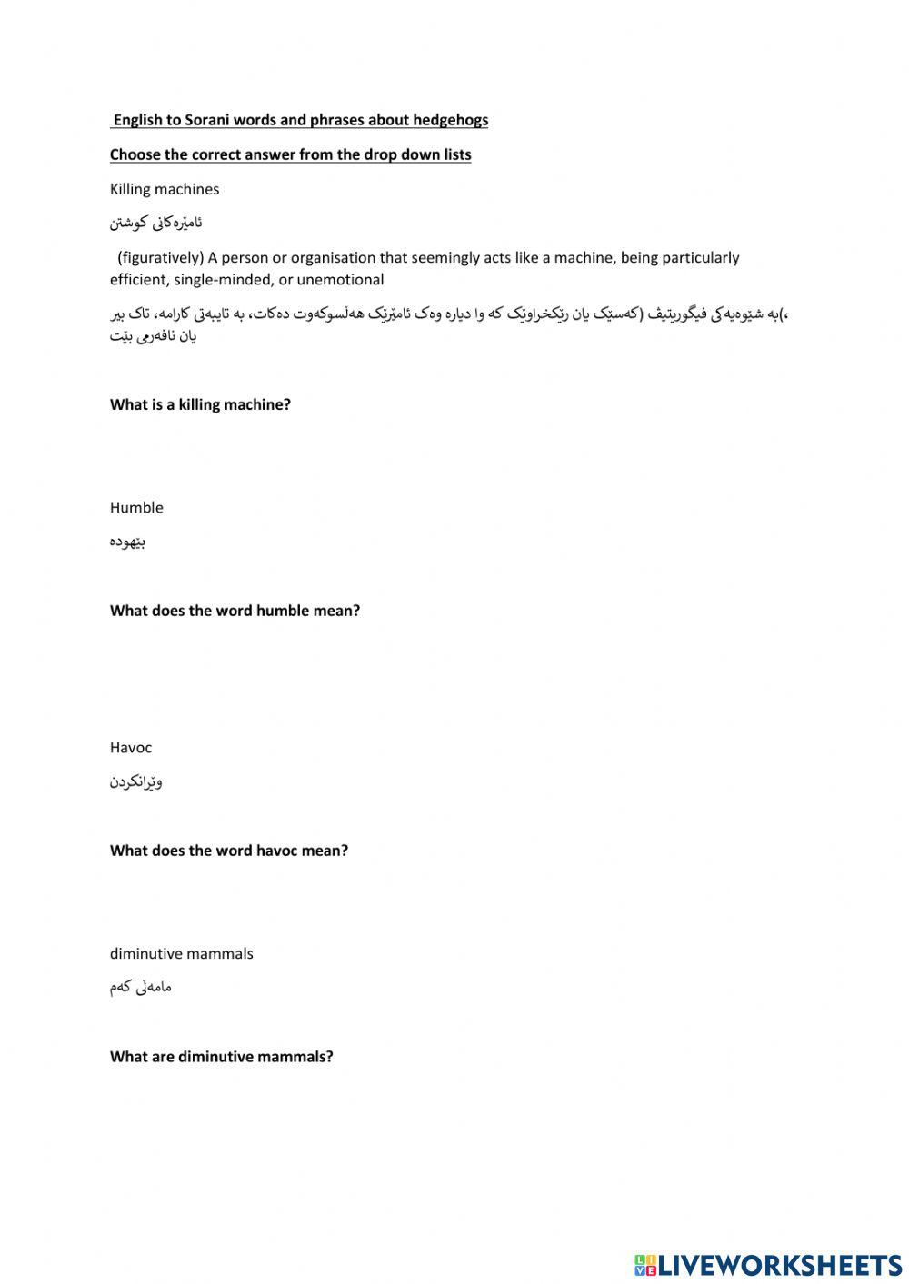 English to Surani with questions