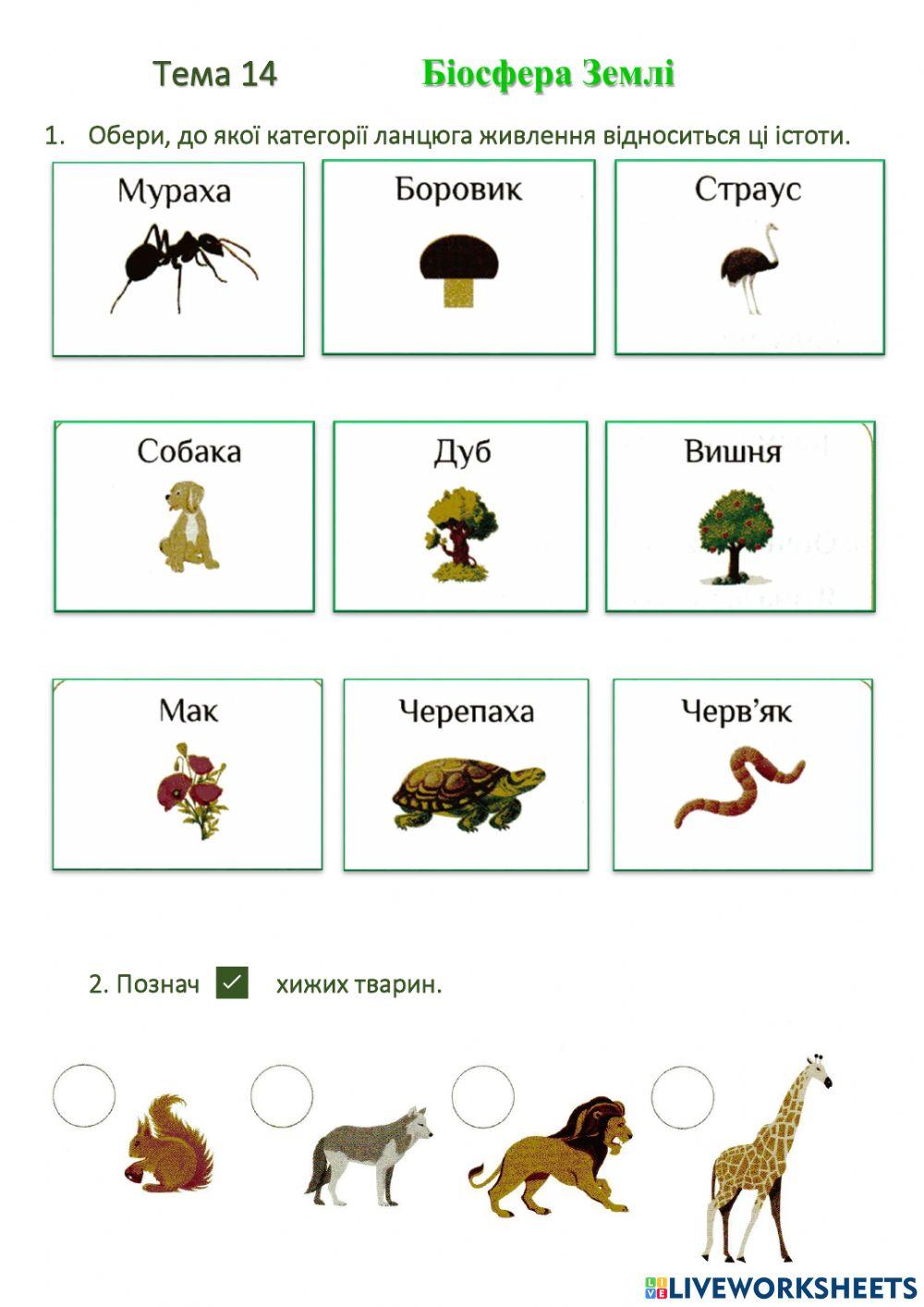 ЯДС СР Біосфера Землі