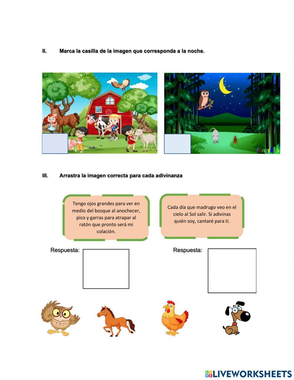Día y noche en los seres vivos y el ambiente