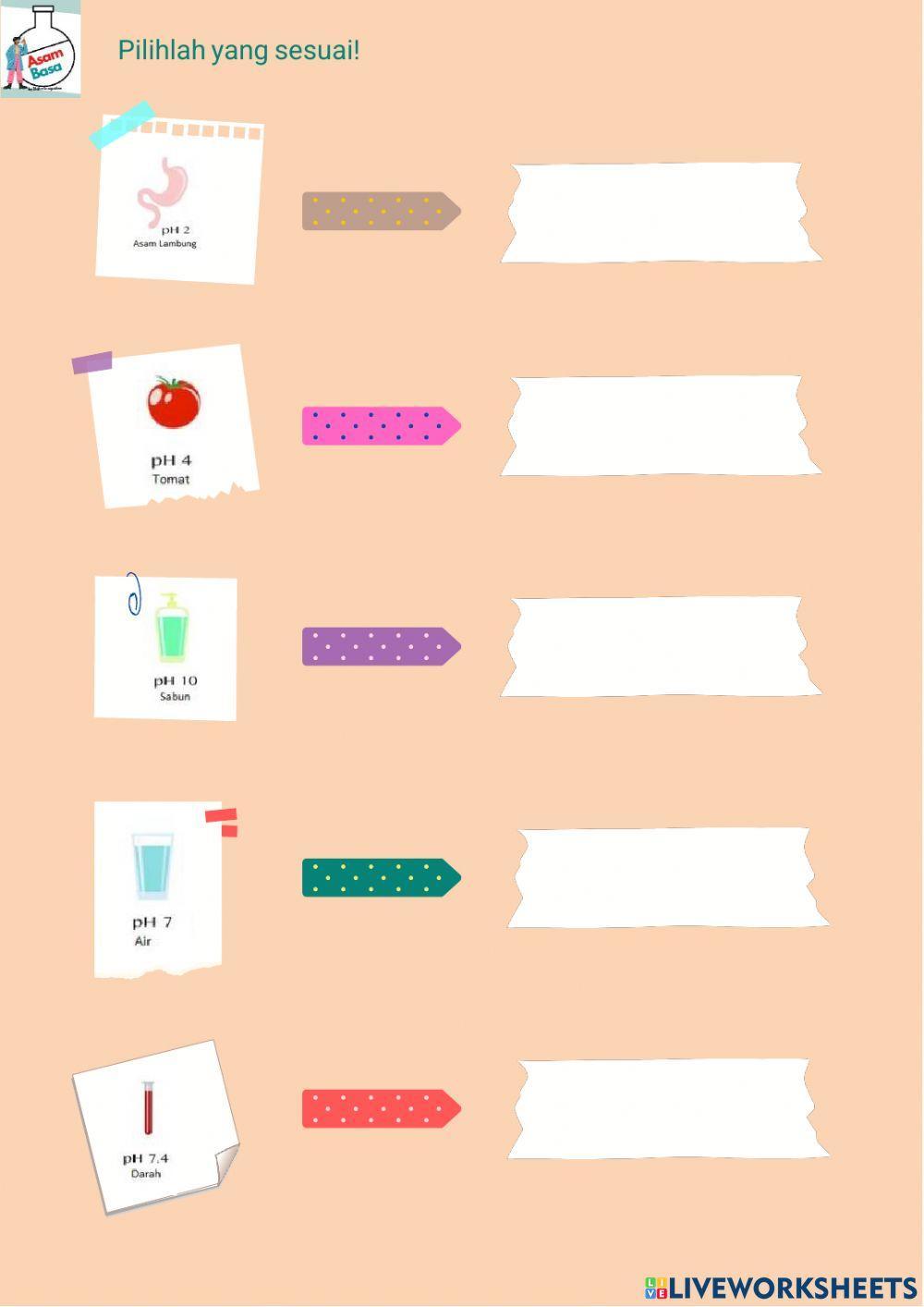 Tes Diagnostik Asam Basa