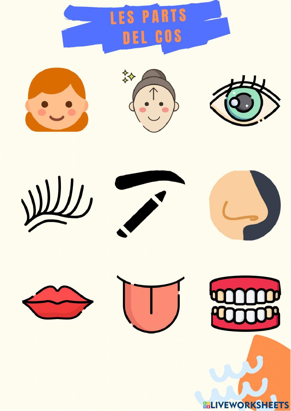 Les parts del cos