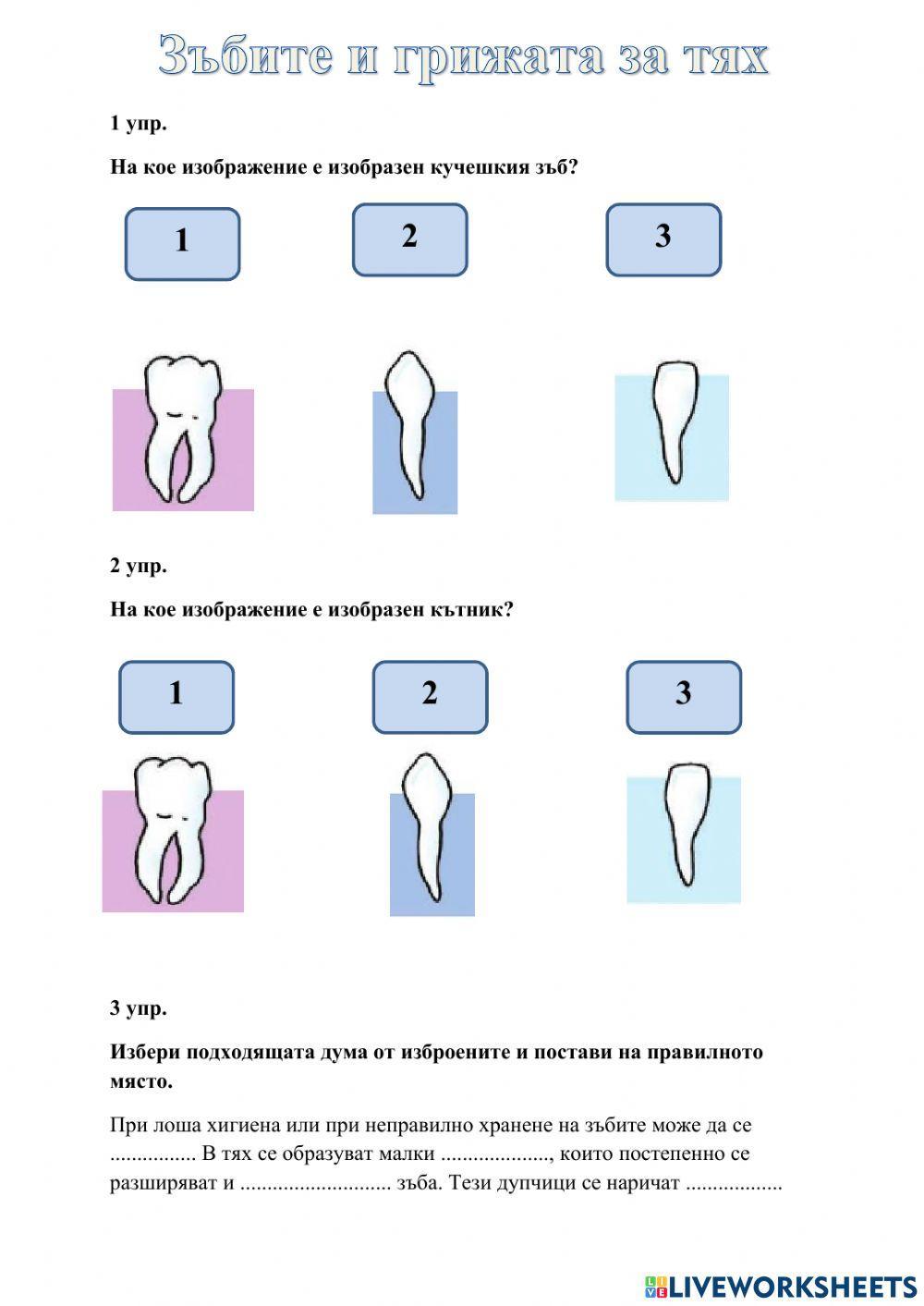 Зъбите и грижата за тях