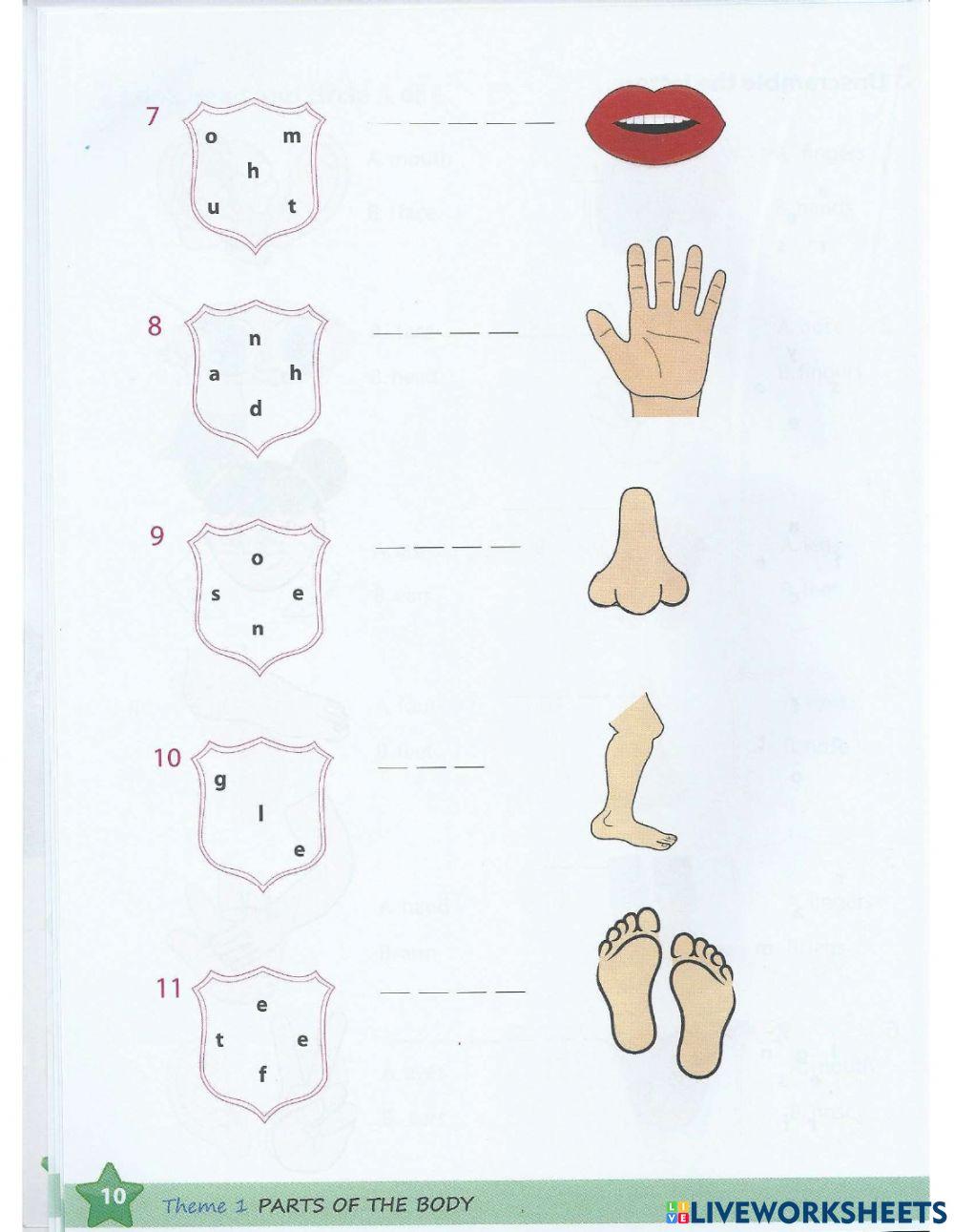 Parts of the body exercise 1