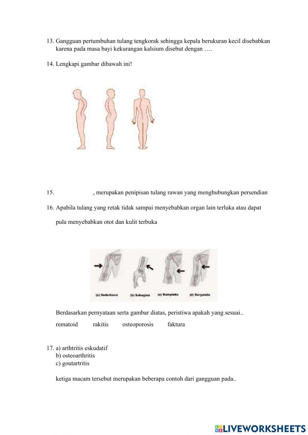 Quiz mekanisme kerja otot, sendi, dan rangka