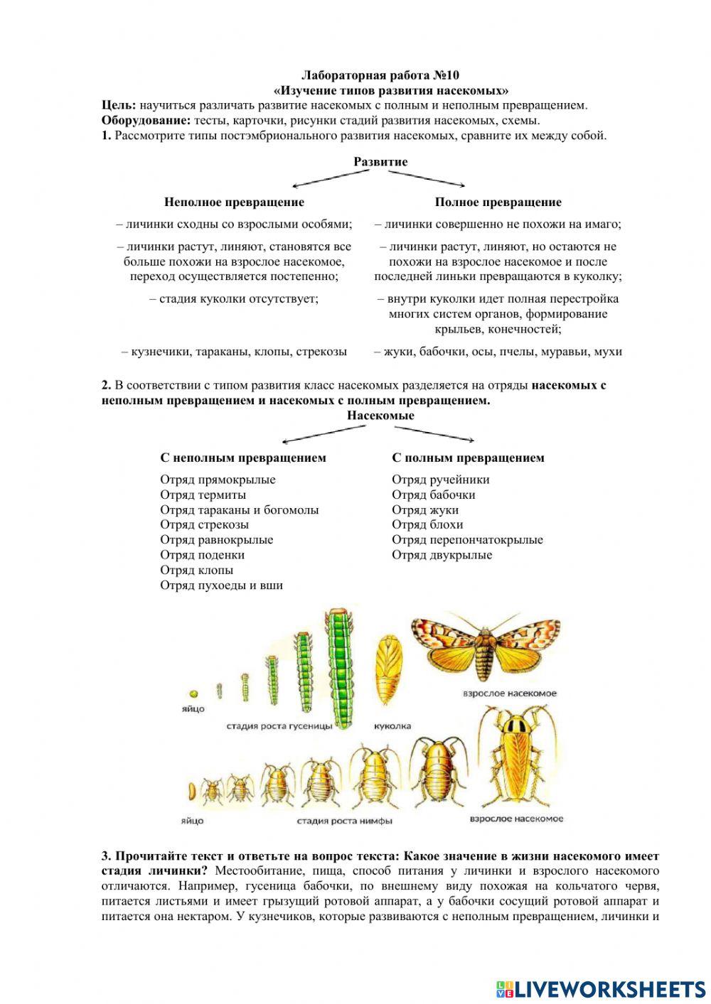 2249371 | Лабораторная работа №10 | Abichewamira