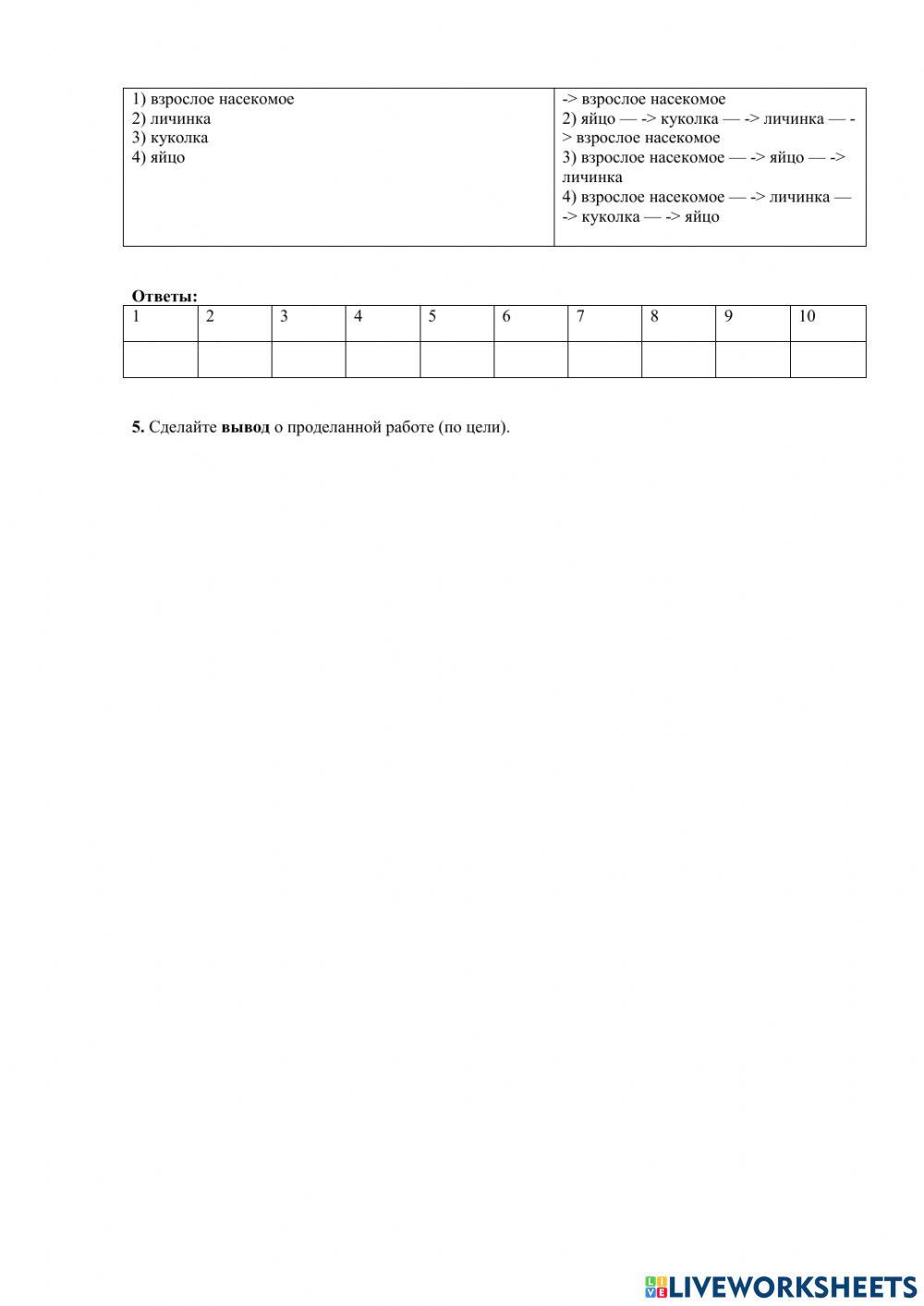 Лабораторная работа №10