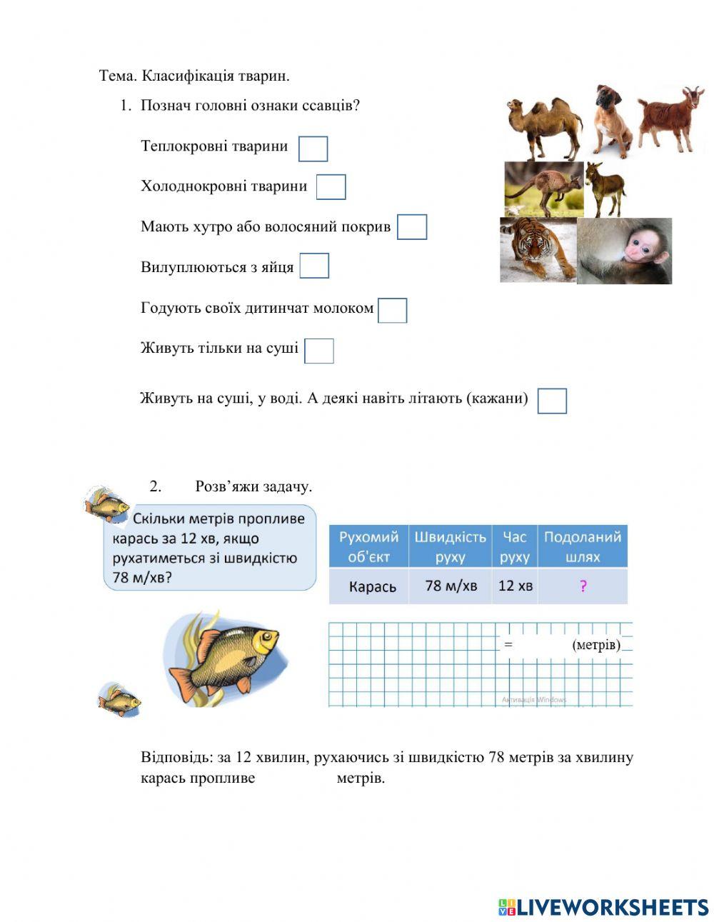 Класифікація тварин ссавці worksheet | Live Worksheets