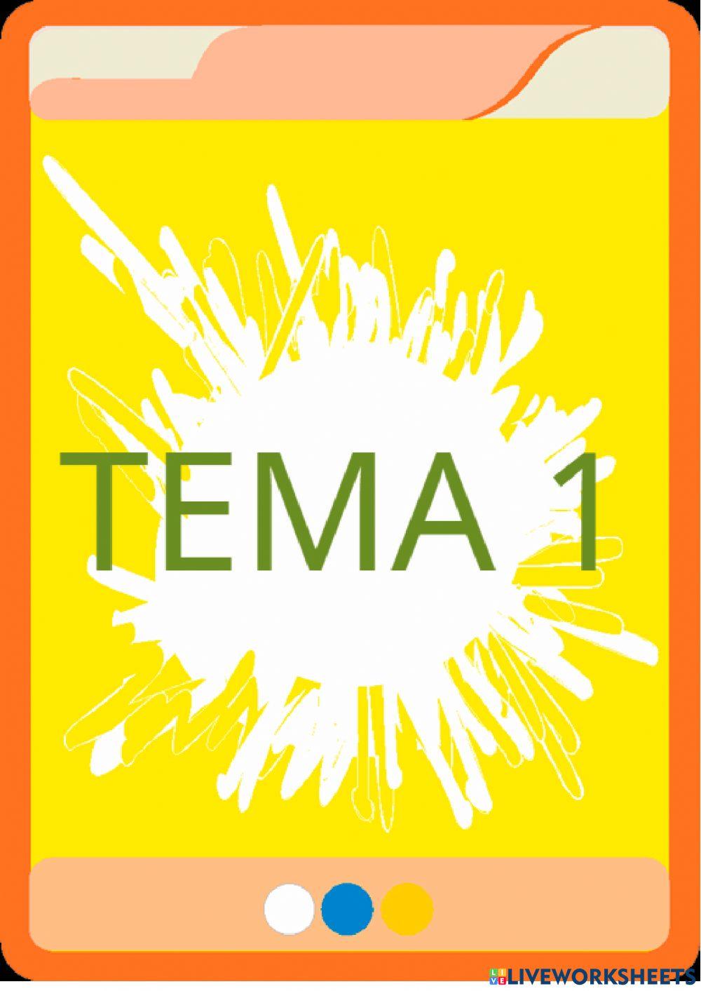 Tema 1