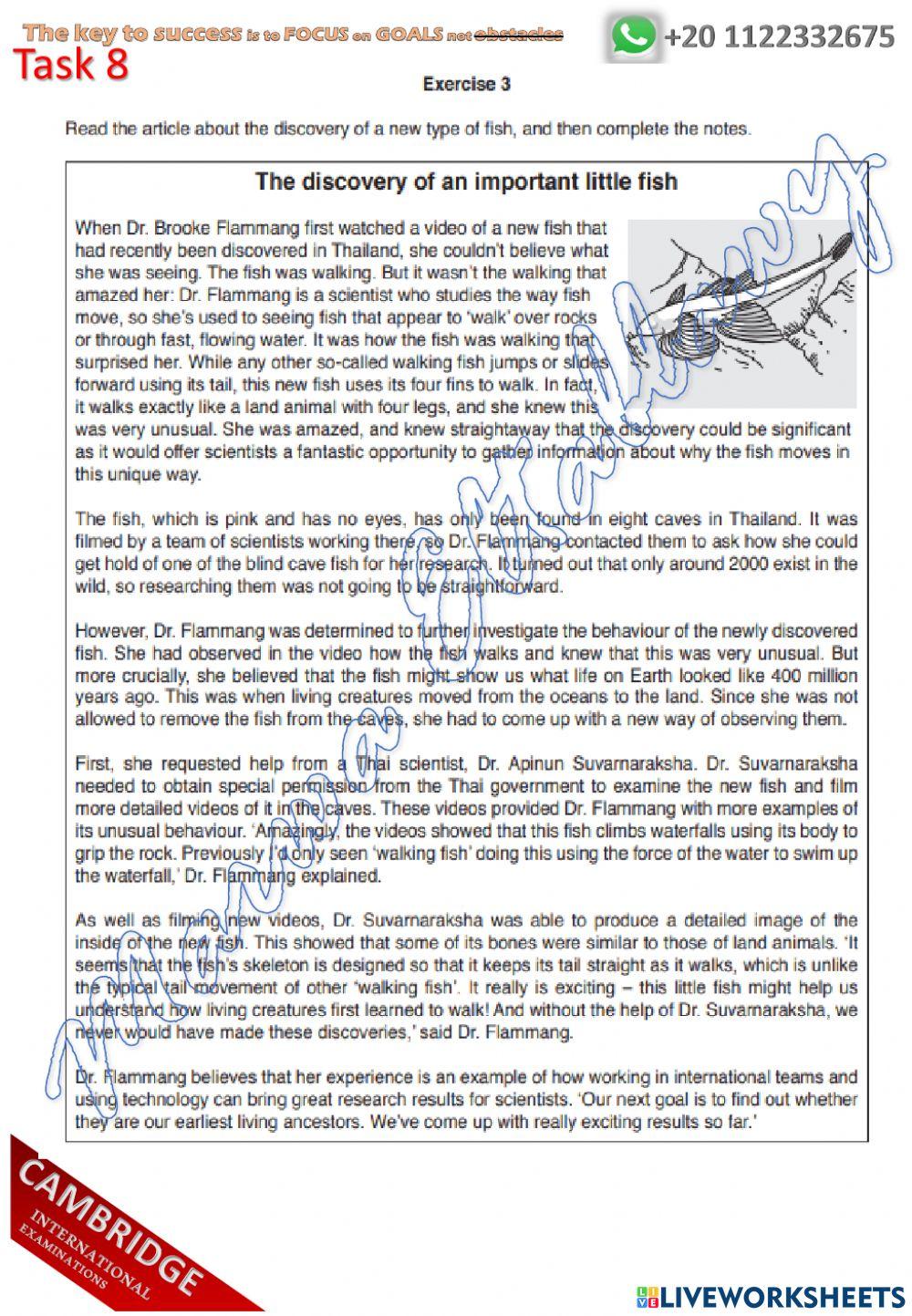 S19 P2 EP Assignment worksheet