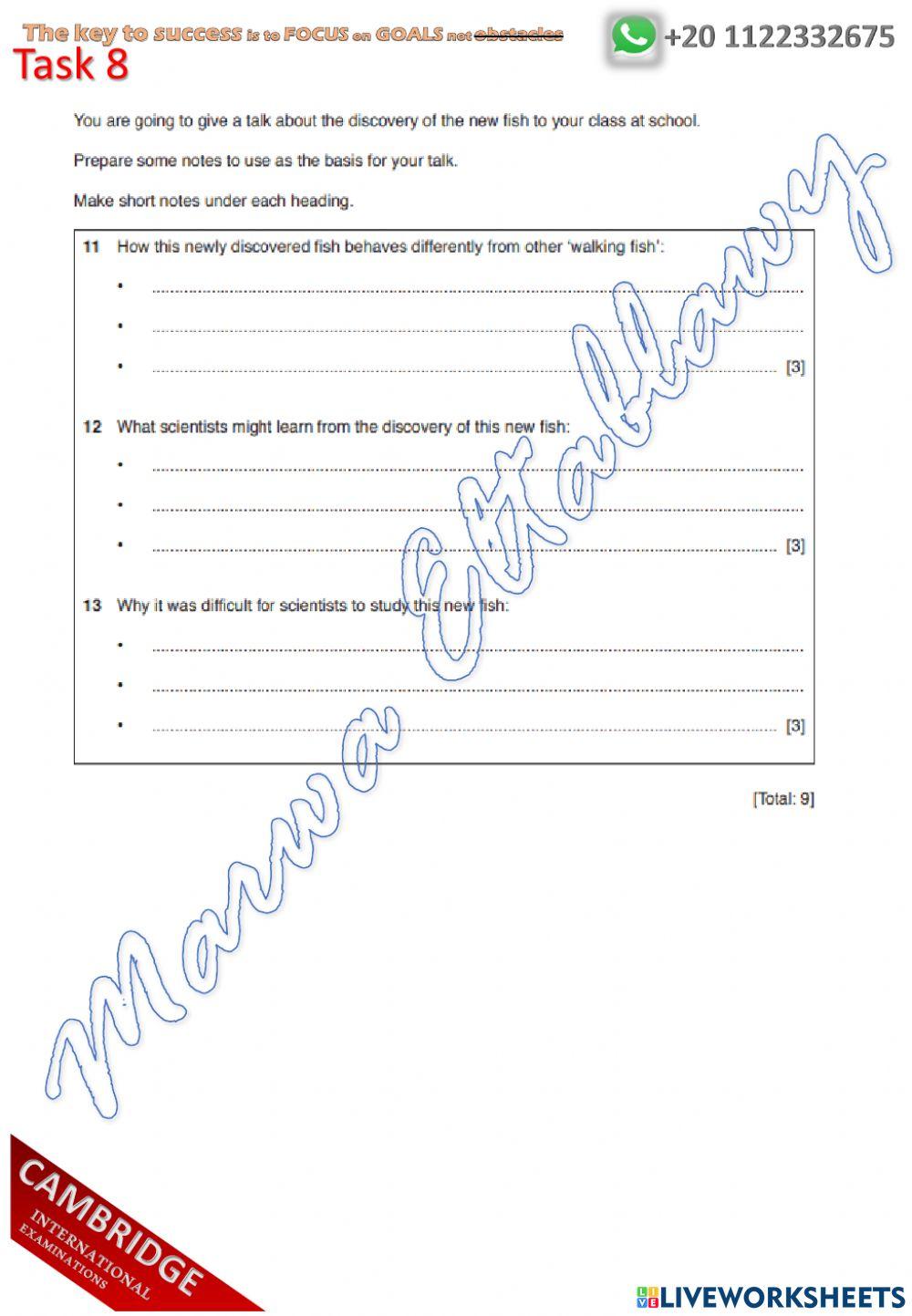S19 P2 EP Assignment worksheet