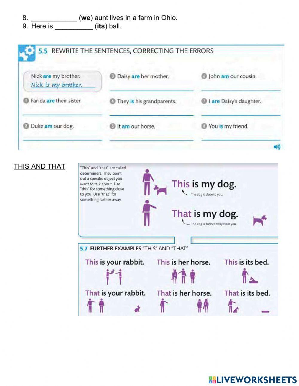 Spelling your name, talking about yourself, saying your age, saying where you're from, possessive adjectives, this and that