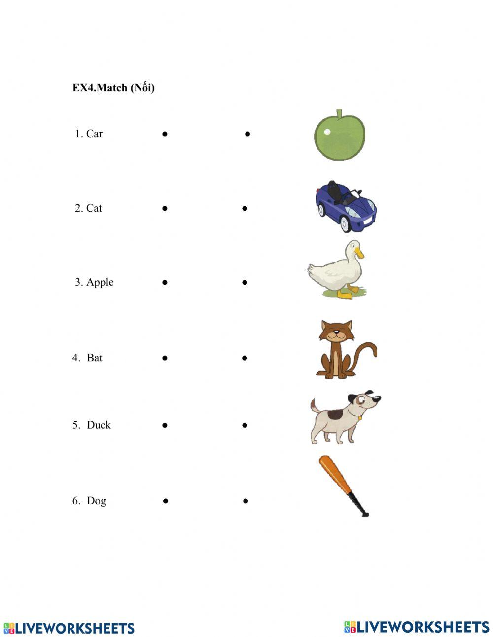 Contest worksheet | Live Worksheets