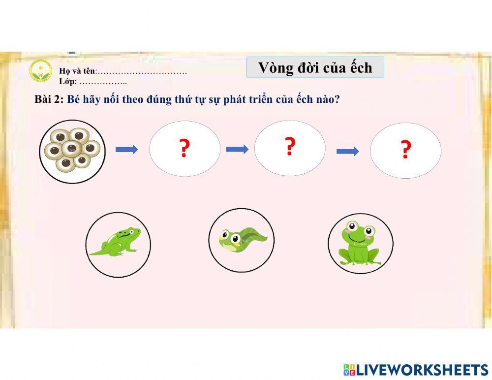 Vòng đời phát triển của ếch