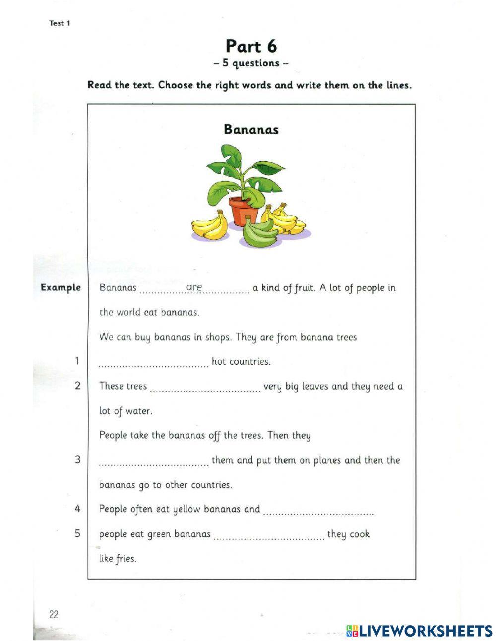 Movers 9- Test 1- Reading (2)