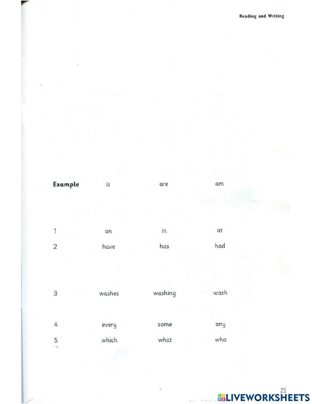 Movers 9- Test 1- Reading (2)