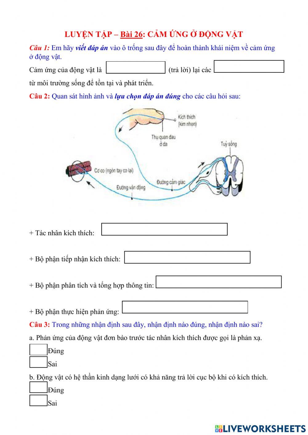 Cảm ứng ở động vật