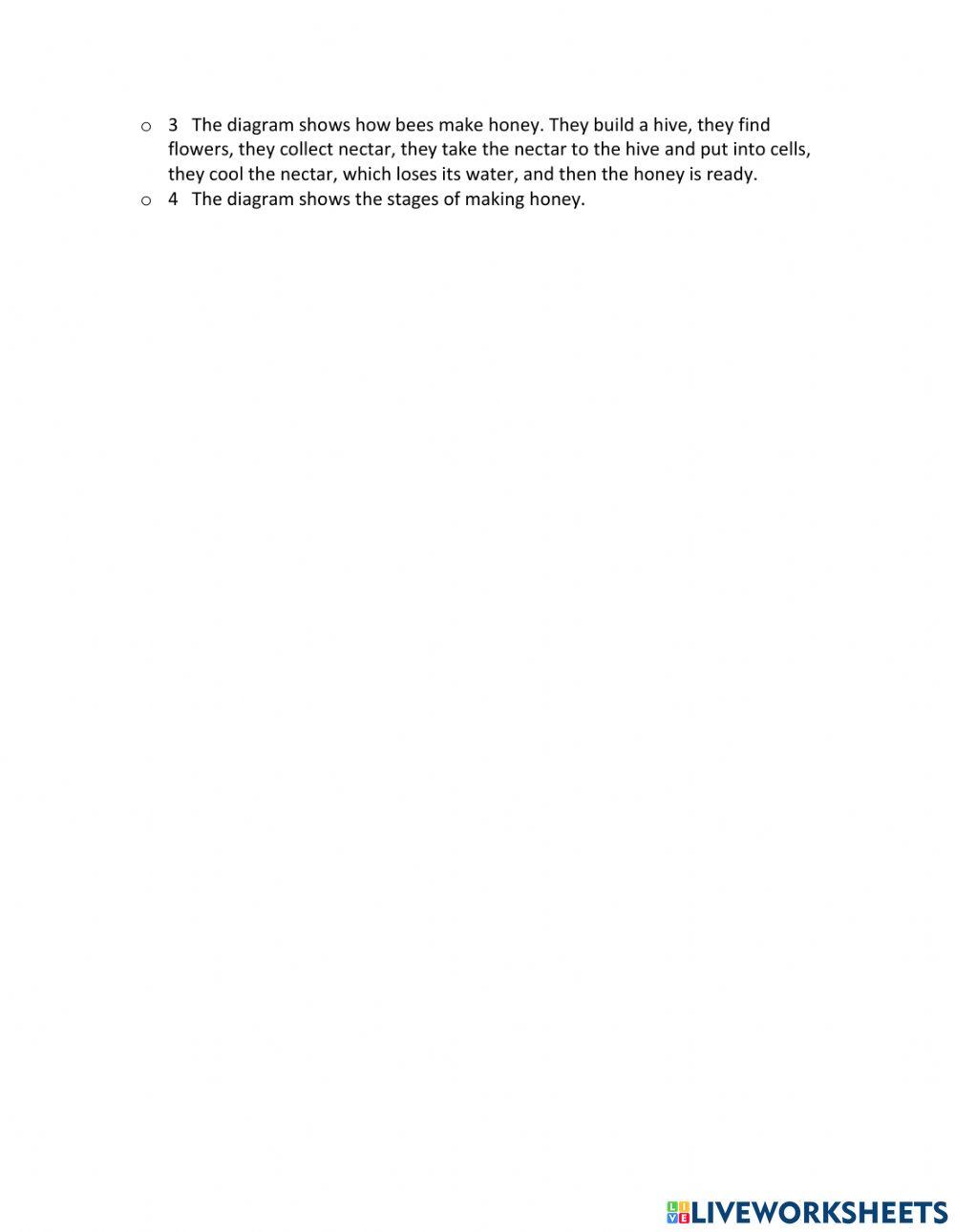 IE2, Unit 3, Writing, Exercise 4