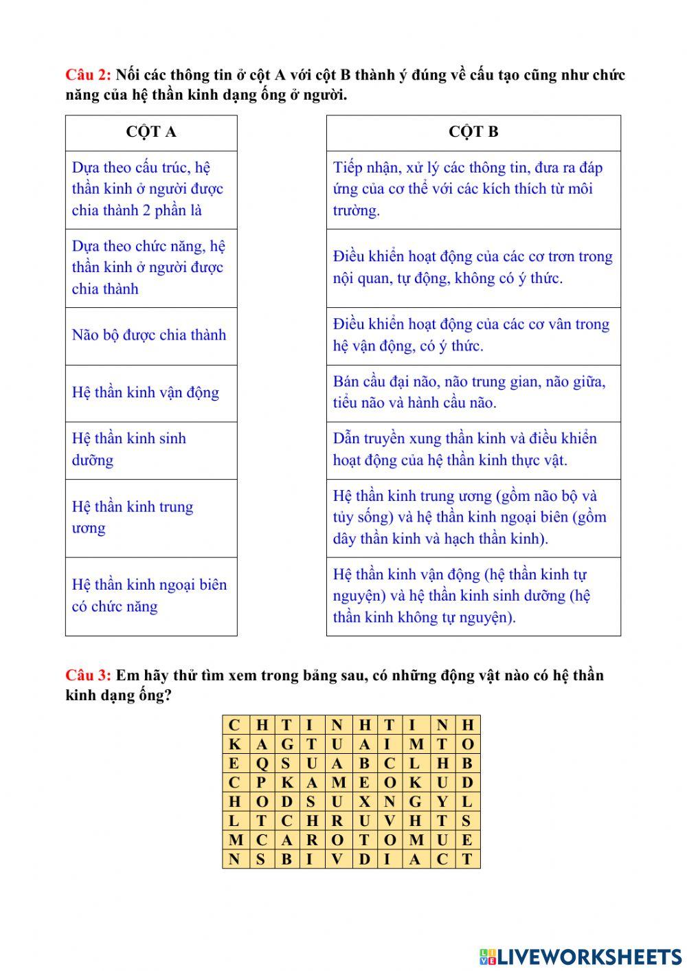 Cảm ứng ở động vật (TT)