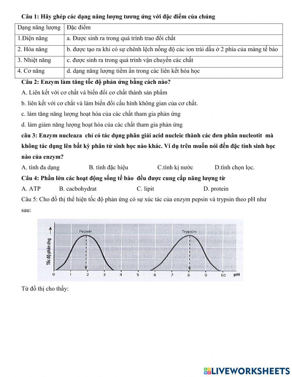 Bài 13: Chuyển hóa vatajj chất và năng lượng trong tế bào