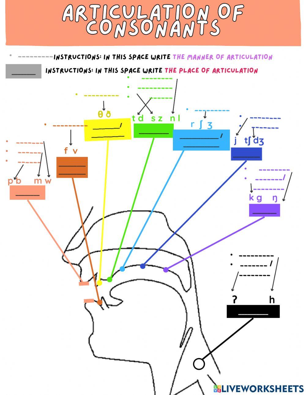 Articulation of consonants