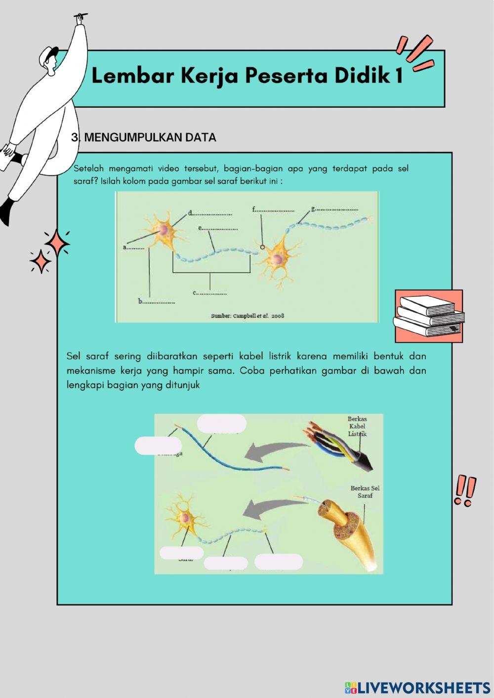 Lkpd kelistrikan pada sel saraf