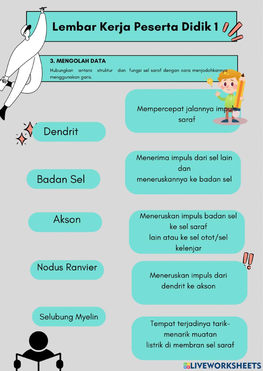 Lkpd kelistrikan pada sel saraf