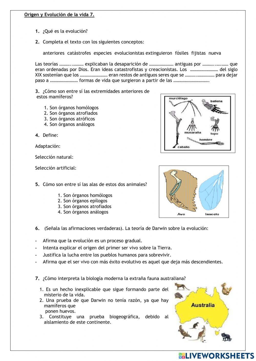 Origen y evolución de la vida 7 Origen y evolución de la vida 7