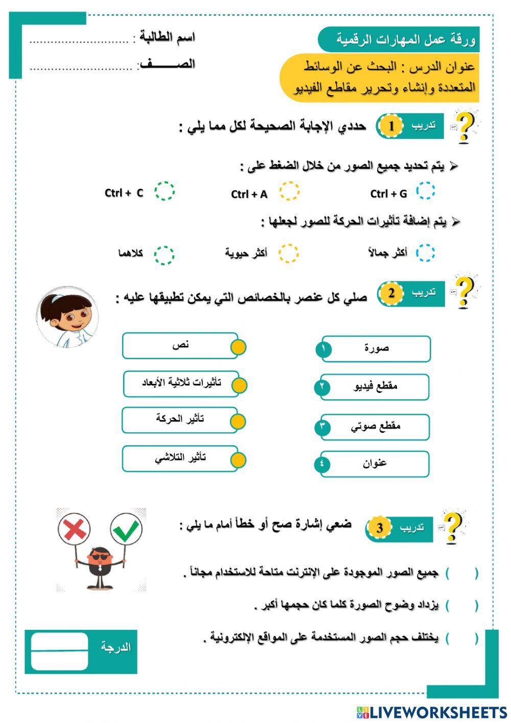 المهارات الرقمية