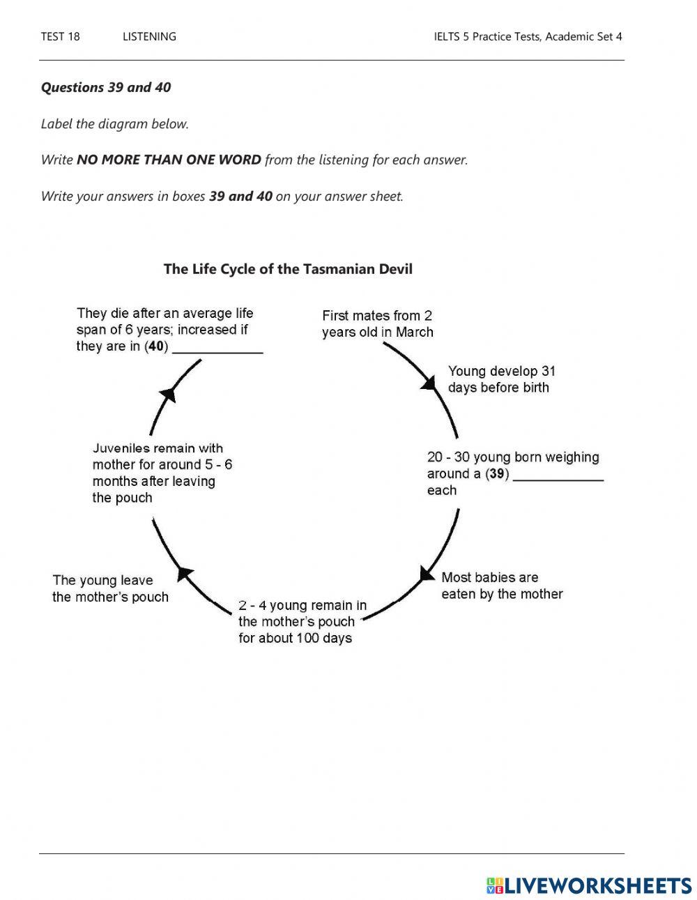 Ielts Listening - Final Test