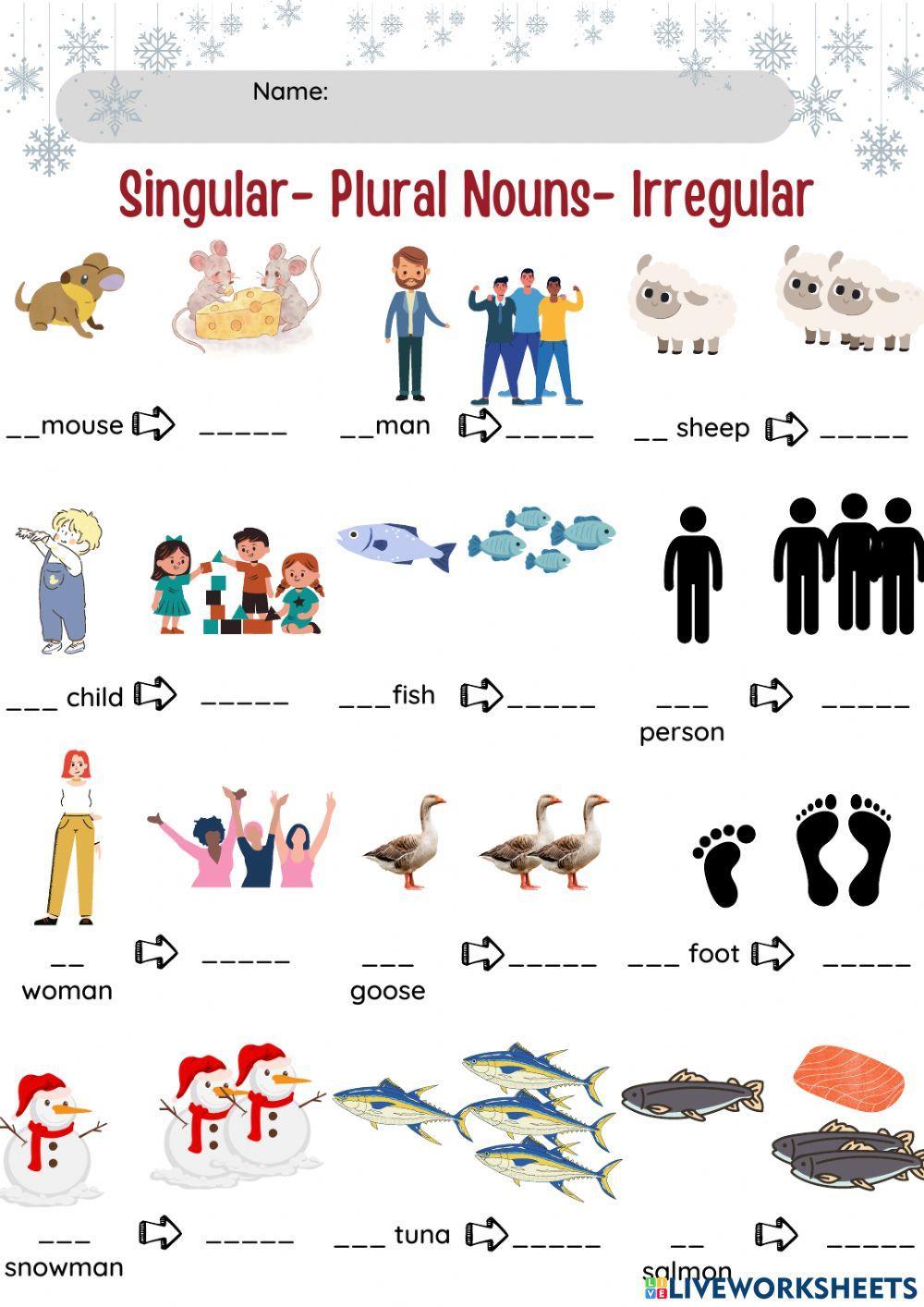 Singular and plural noun irregular