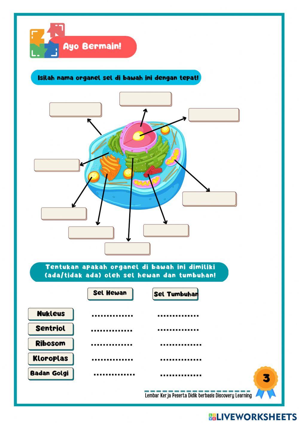 Kegiatan 2 LKPD berbasis Discovery Learning