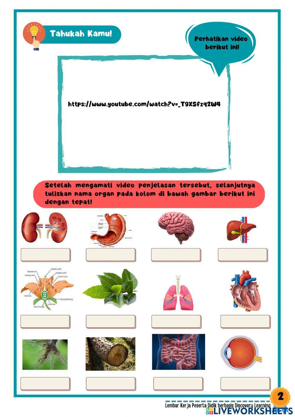 Kegiatan 4 LKPD berbasis Discovery Learning Sistem Organisasi Kehidupan