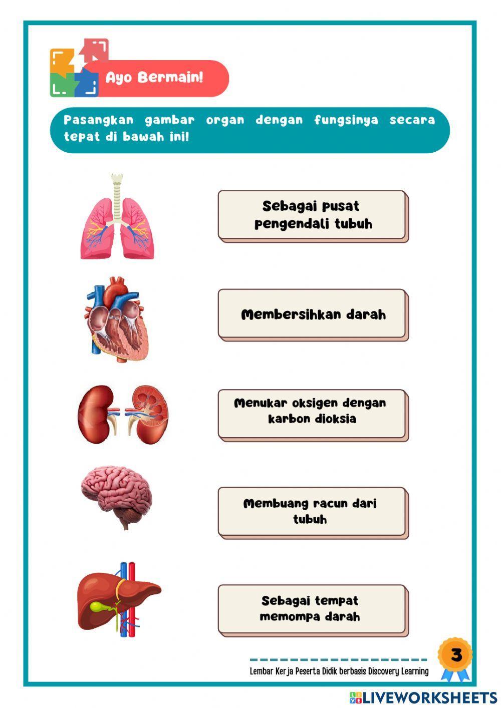 Kegiatan 4 LKPD berbasis Discovery Learning Sistem Organisasi Kehidupan