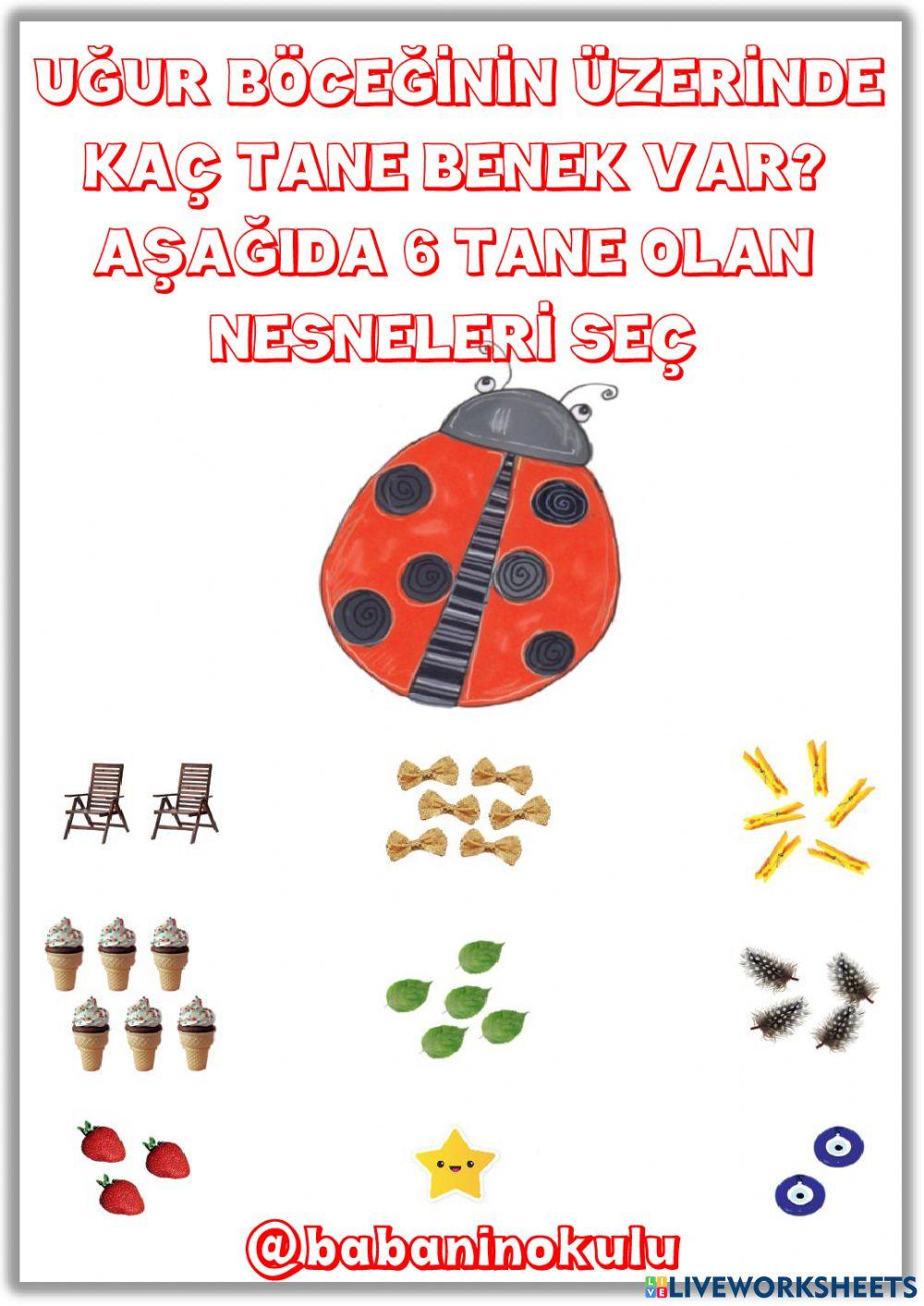 19-23 ARALIK GENEL TEKRAR PAZAR 19-23 ARALIK GENEL TEKRAR PAZAR