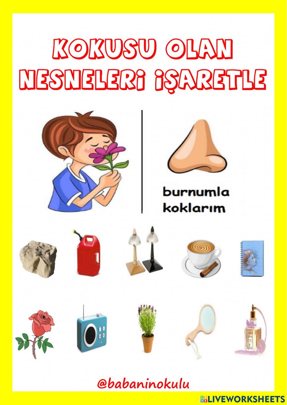 19-23 ARALIK GENEL TEKRAR PAZAR 19-23 ARALIK GENEL TEKRAR PAZAR