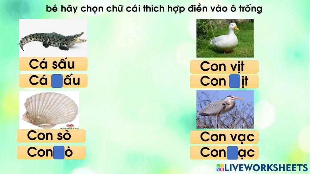 Chu viet