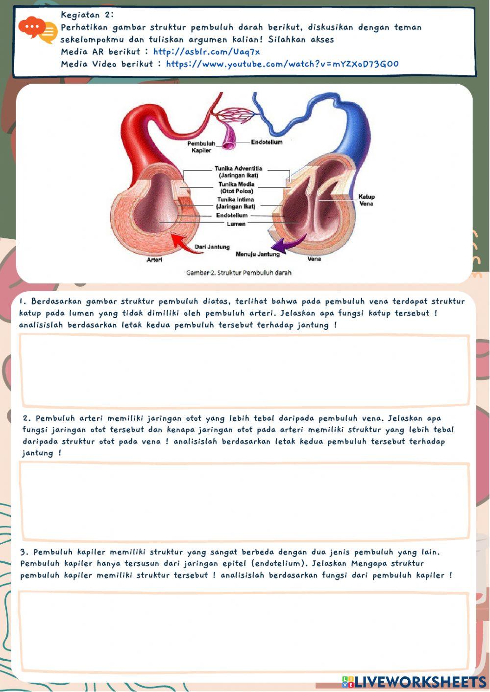 Sistem Peredaran Darah