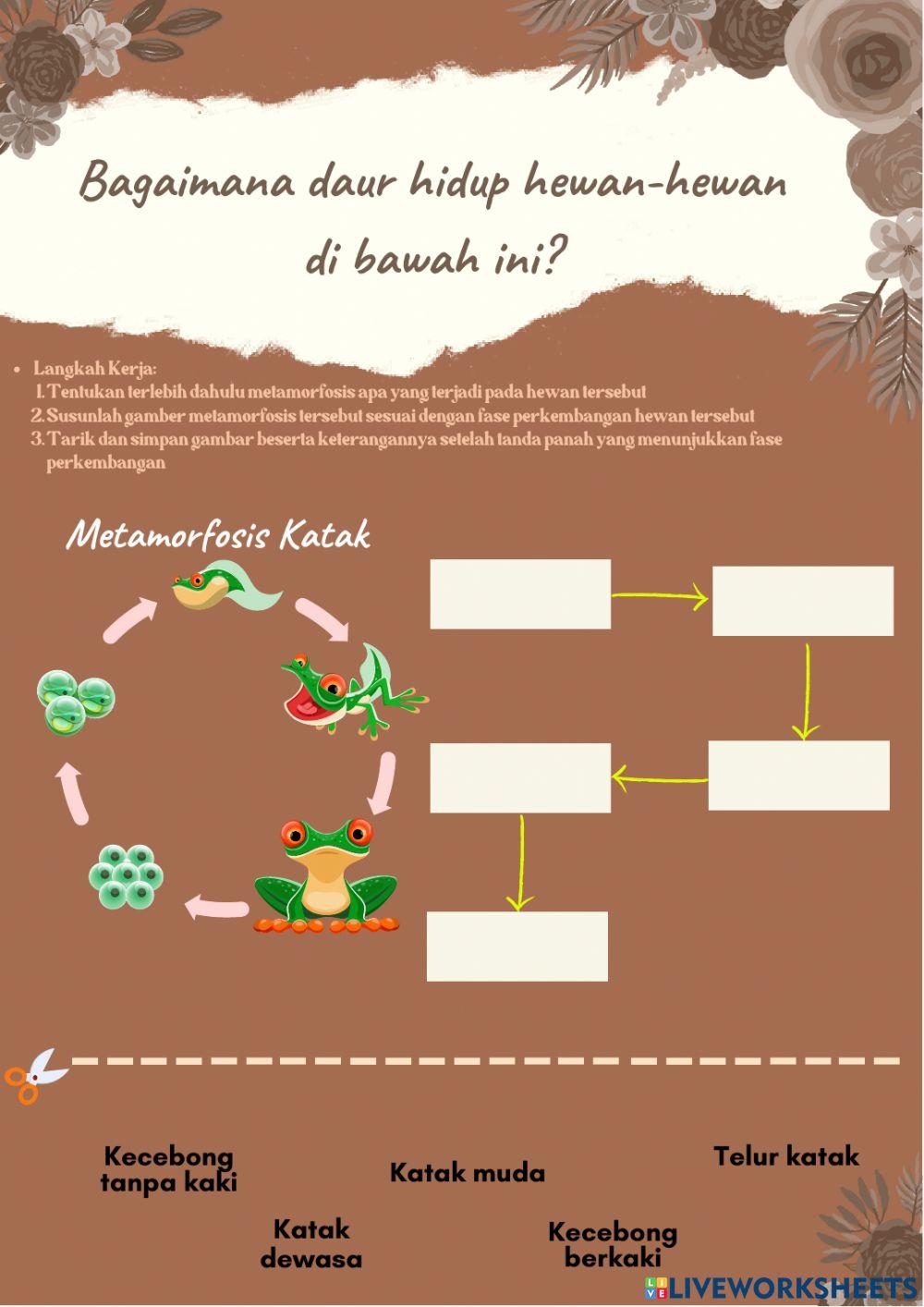 Lembar kerja peserta didik kelas 5 tema 5 SUBTEMA 1 PEMBELAJARAN 5