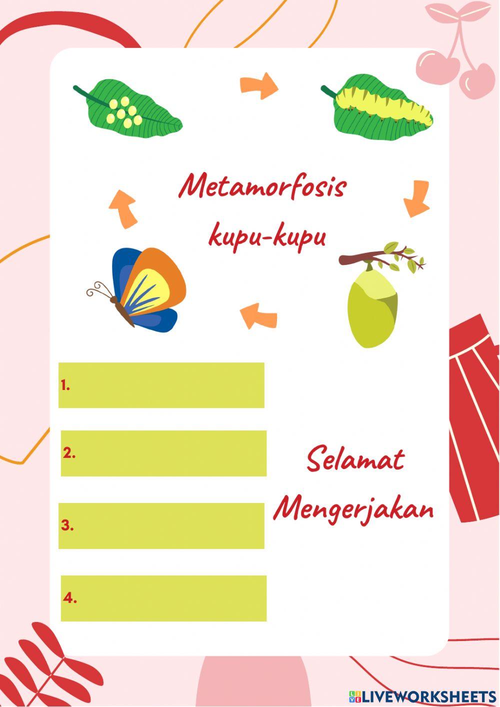 Lembar kerja peserta didik kelas 5 tema 5 SUBTEMA 1 PEMBELAJARAN 5