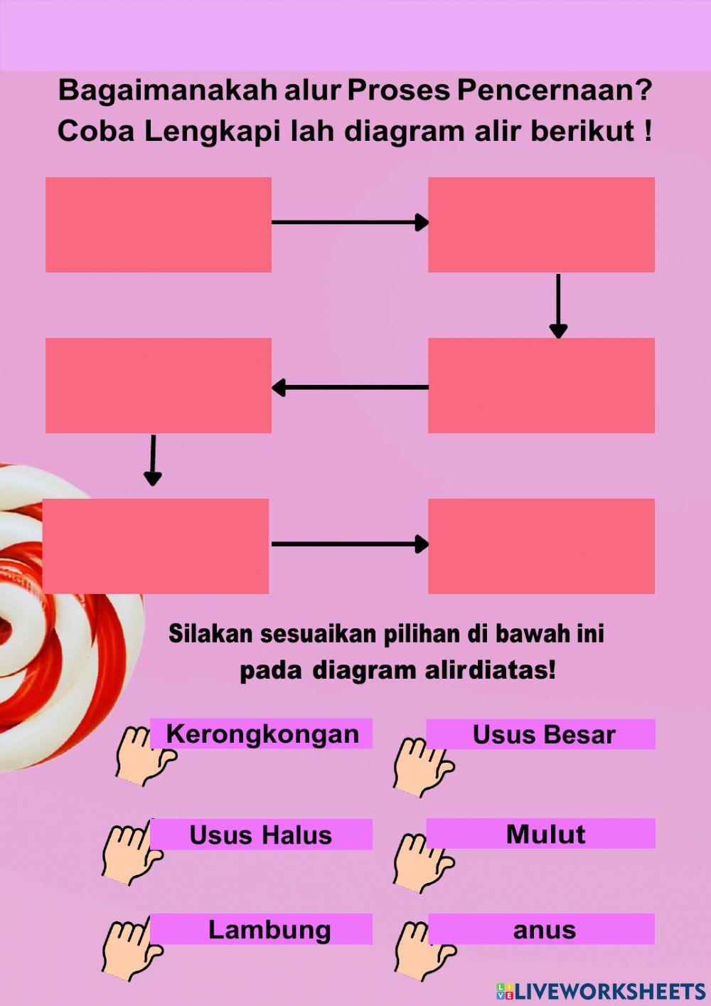 Lkpd sistem pencernaan smp kelas 8