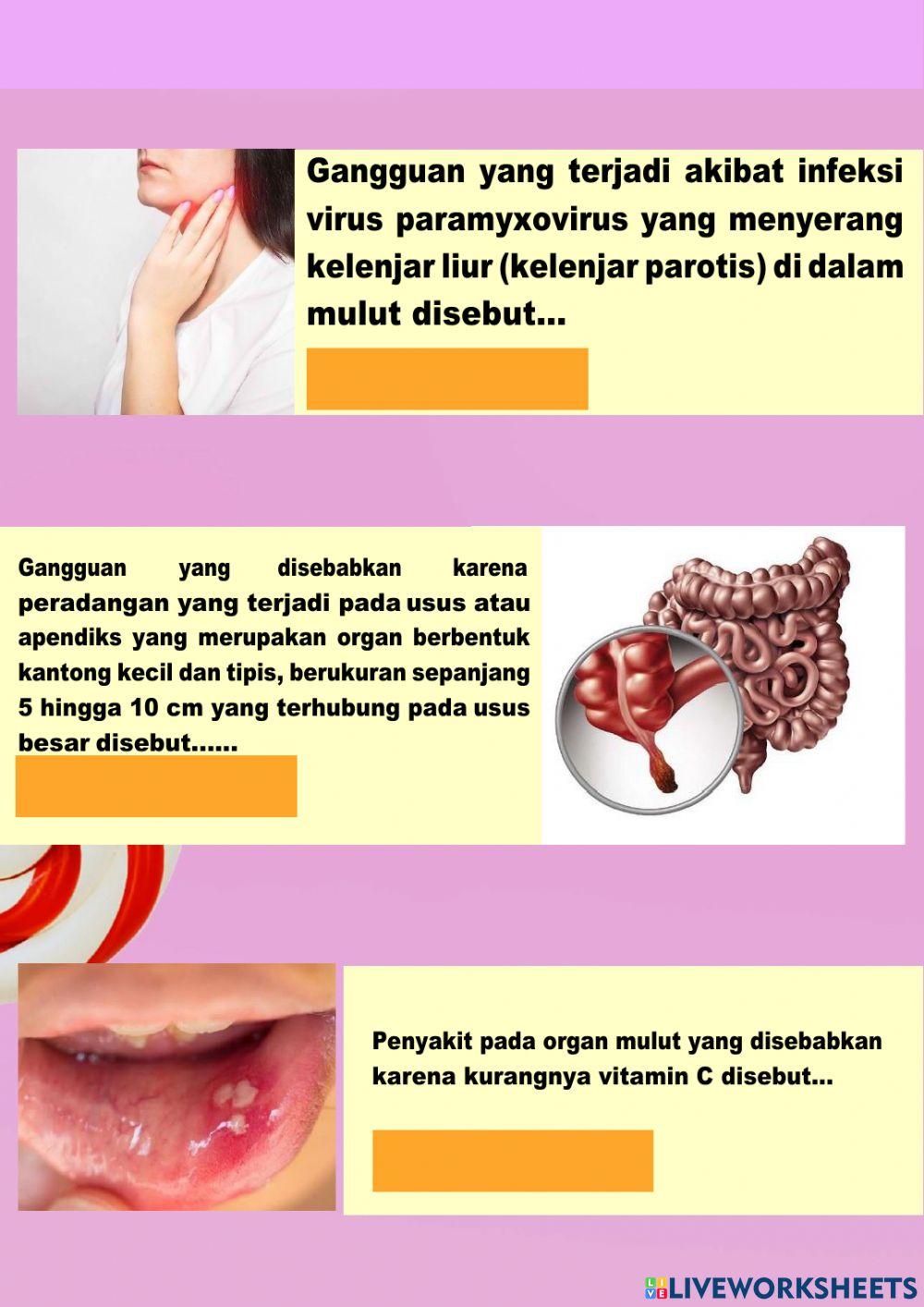 Lkpd sistem pencernaan smp kelas 8