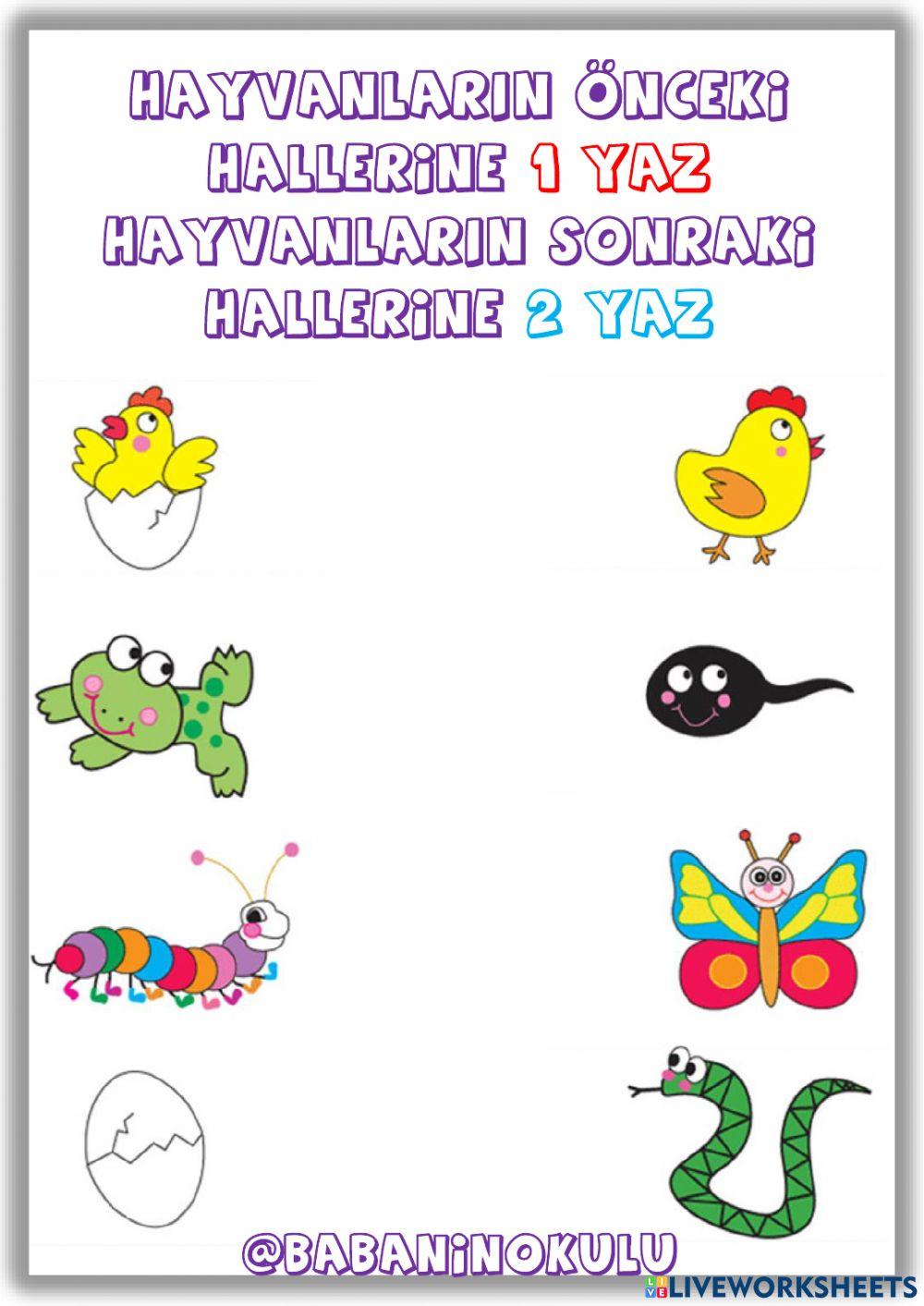 ÖNCE - SONRA ÖNCE - SONRA