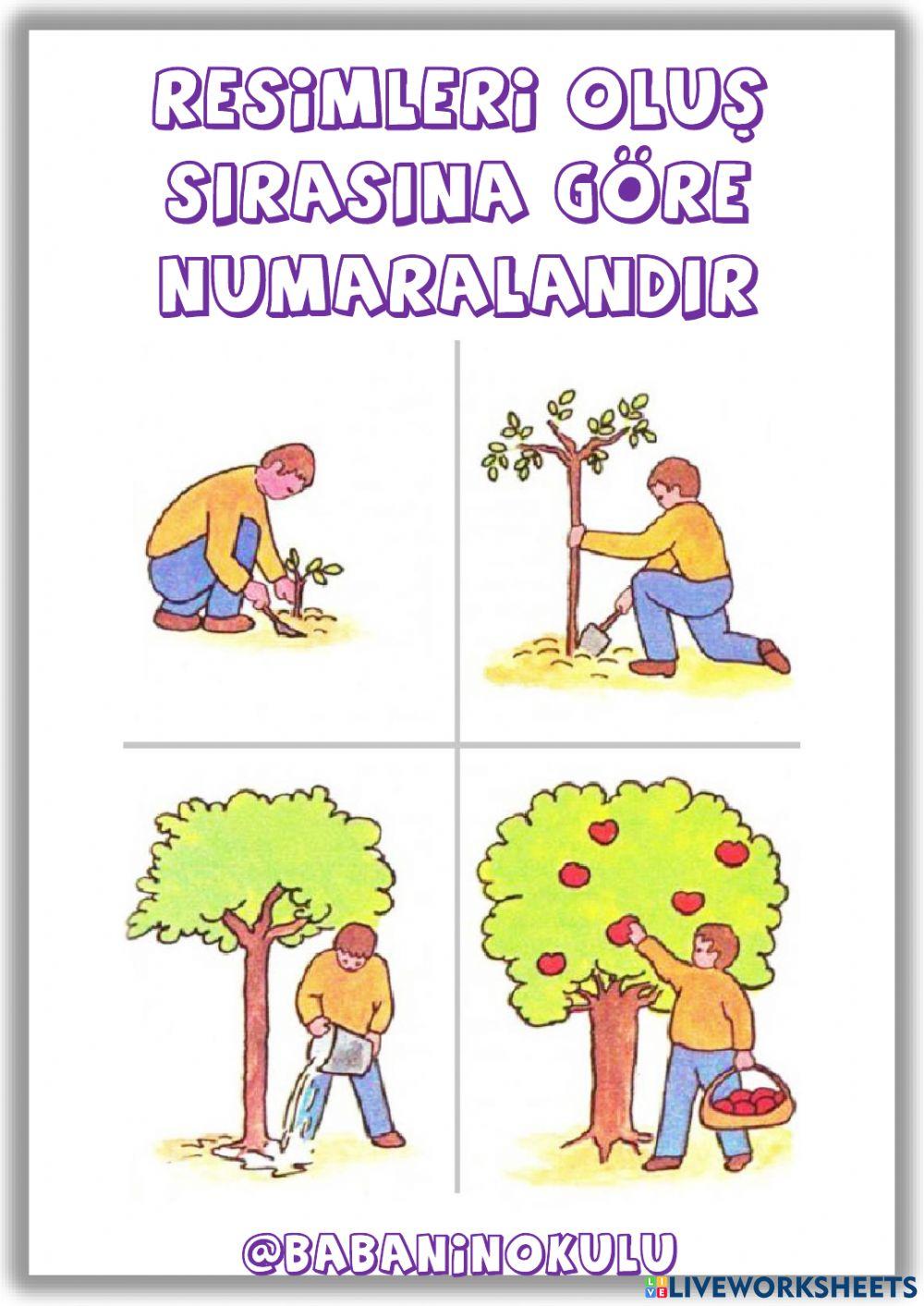 ÖNCE - SONRA ÖNCE - SONRA