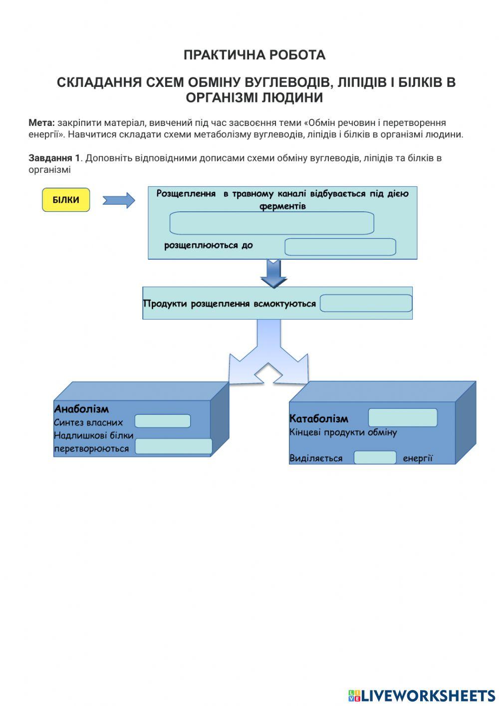 Практична робота Обмін речовин і енергії