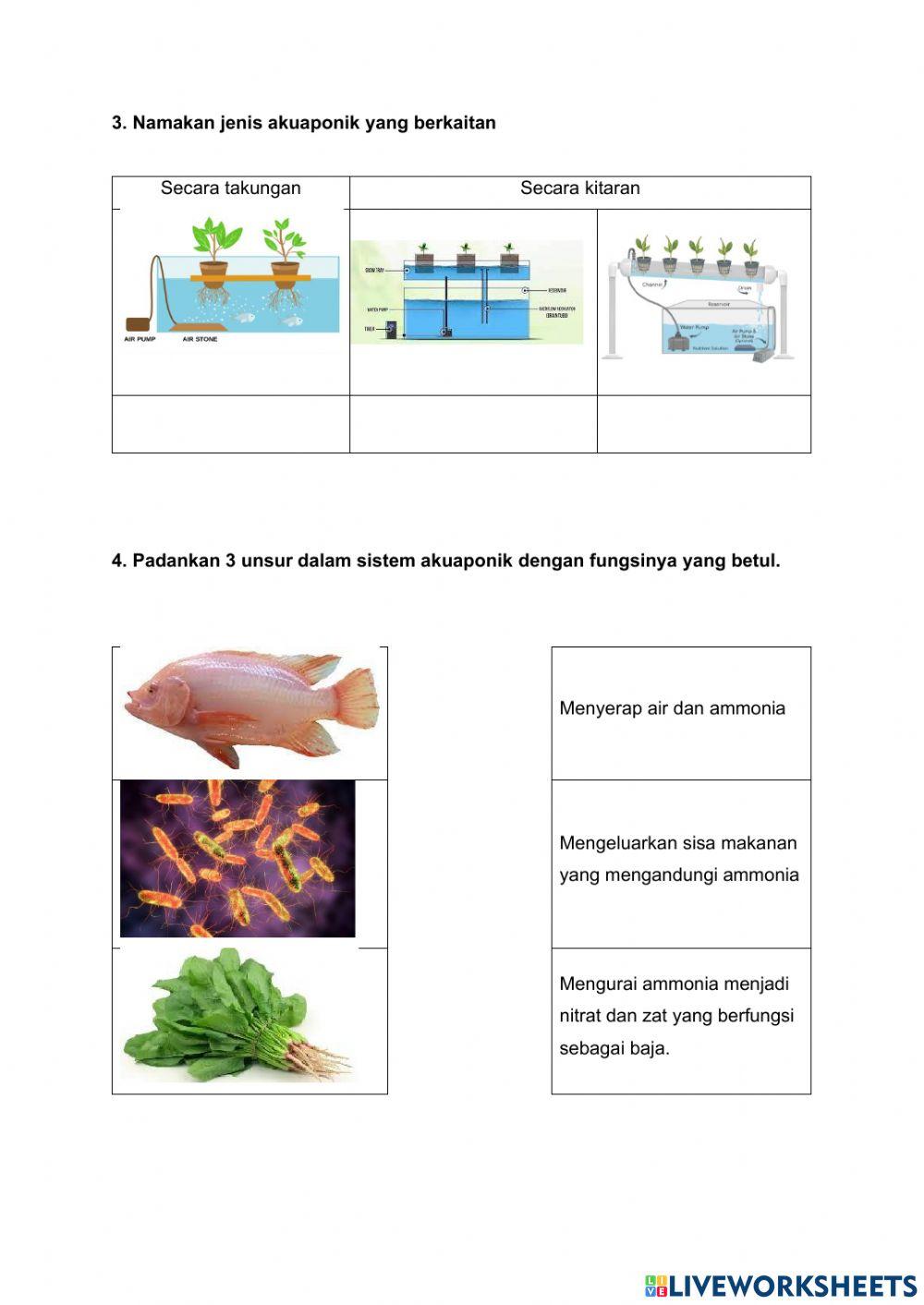 2.5.1 Maksud akuaponik