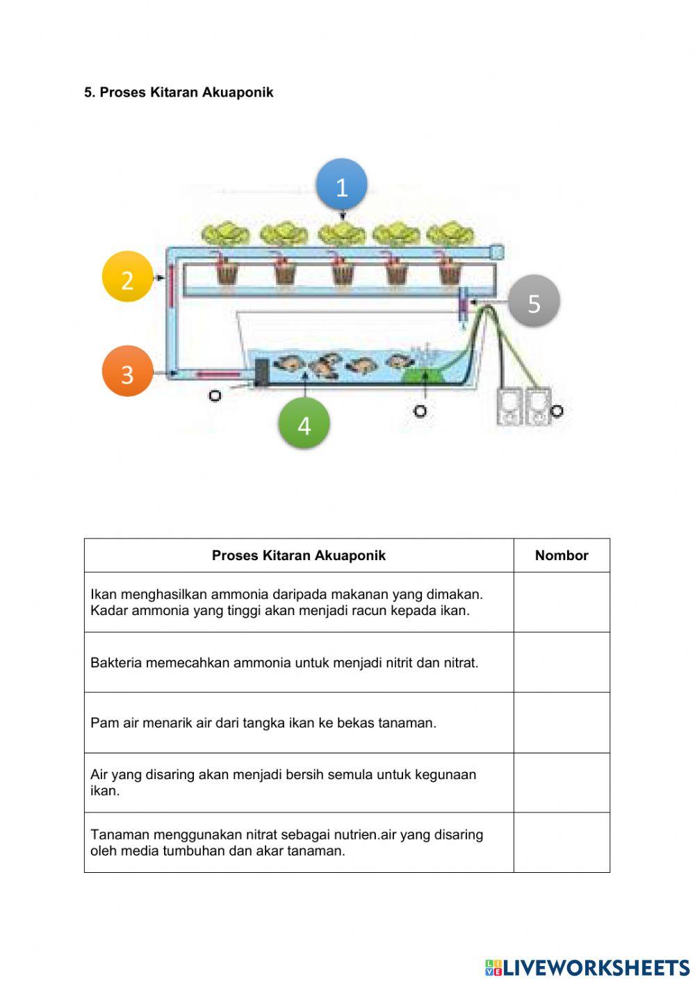 2.5.1 Maksud akuaponik