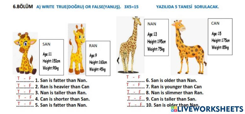 6 1.dönem 2.yazılı 6.bölüm