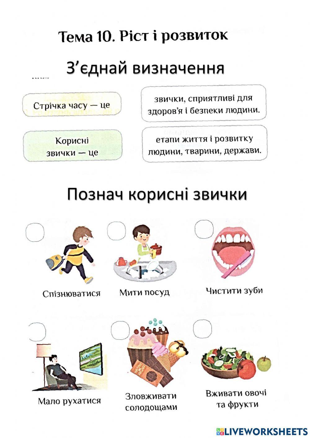 Діагностувальна 1